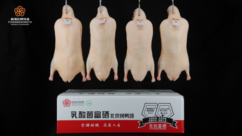 微信图片_20260322102313_29_269.png